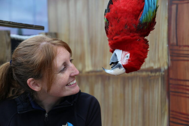 Andrea with upside down macaw