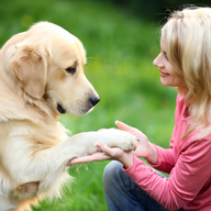 woman training dog with dog paws in her hands