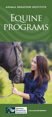 Link to Equine Brochure