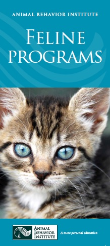 Link to Feline Brochure