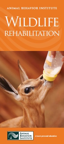 Link to Wildlife Rehabilitation Brochure